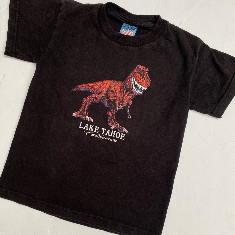 Kids Black Tee with Red Dinosaur Graphic - Lake Tahoe